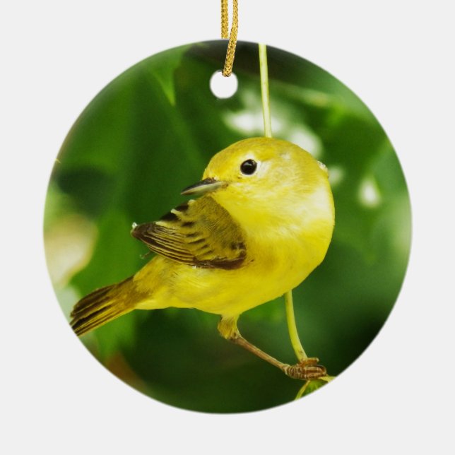 Yellow Warbler Ceramic Tree Decoration (Front)