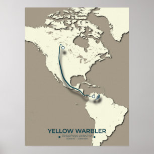 Yellow Warbler Migration Map – Minimalist Vintage  Poster