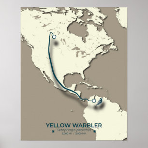 Yellow Warbler Migration Map – Minimalist Vintage  Poster