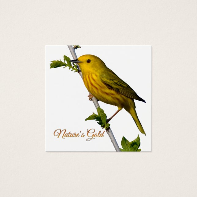 Yellow Warbler “Nature’s Gold” Printed Art Card (Front)