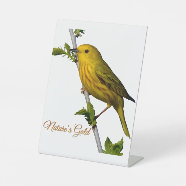 Yellow Warbler “Nature’s Gold” Printed Art Card Pedestal Sign (Front)