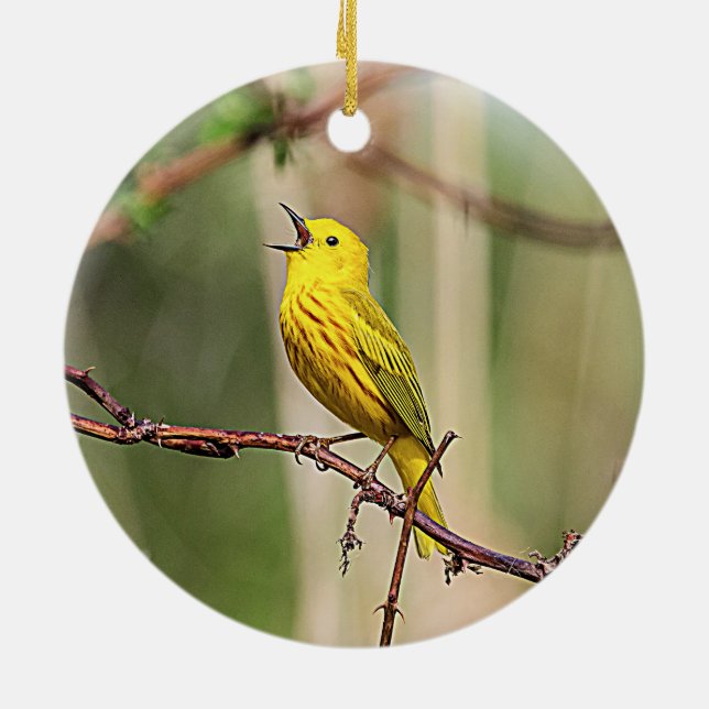 Yellow Warbler Singing Ceramic Tree Decoration (Back)