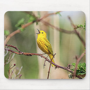 Yellow Warbler Singing Mouse Pad