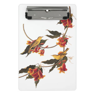 Yellow Warbler Songbirds on Flowering Crossvine Mini Clipboard