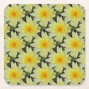 Yellow water lily flower square paper coaster