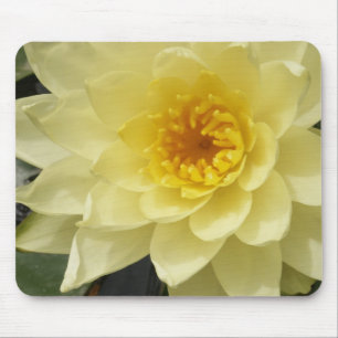 Yellow Water Lily Mousepad