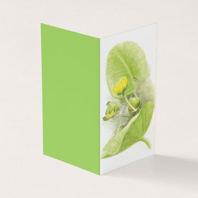 Yellow water Lily pencil sketch Business Card (Outside)