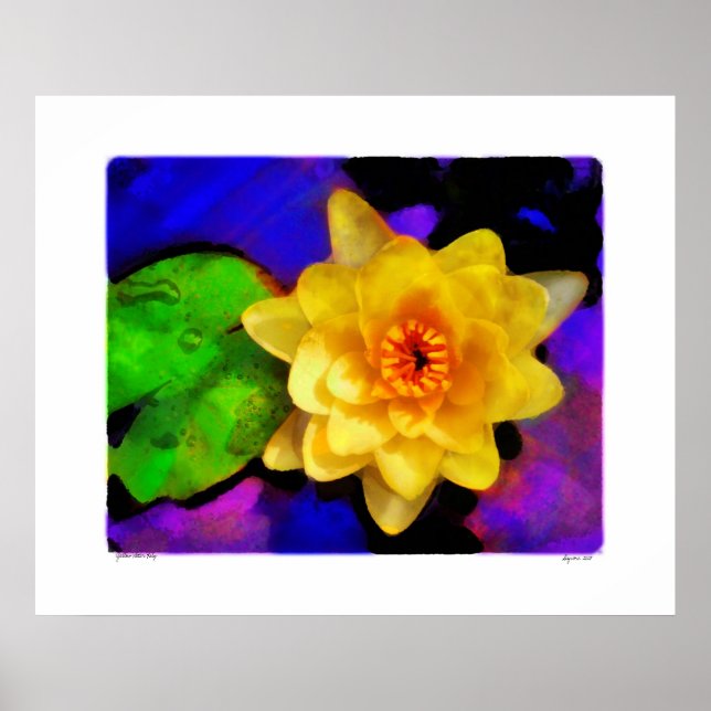 Yellow Water Lily , print (Front)