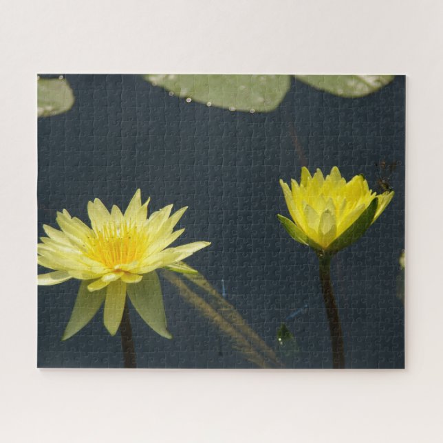 Yellow Waterlilies Dragonfly Jigsaw Puzzle (Horizontal)