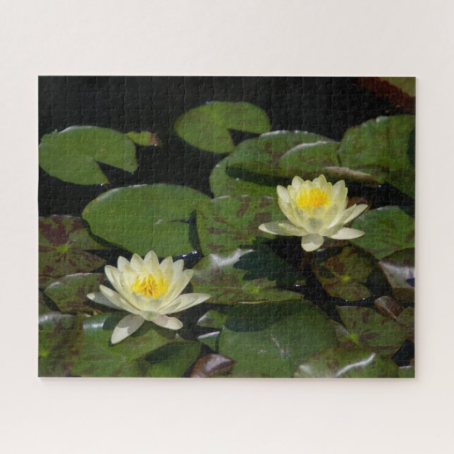 Yellow Waterlilies Jigsaw Puzzle (Horizontal)