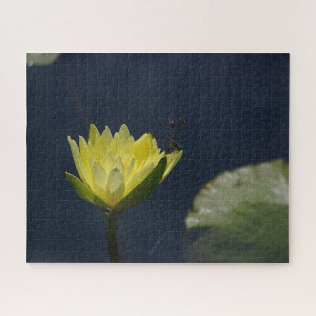 Yellow Waterlily Dragonfly Jigsaw Puzzle (Horizontal)