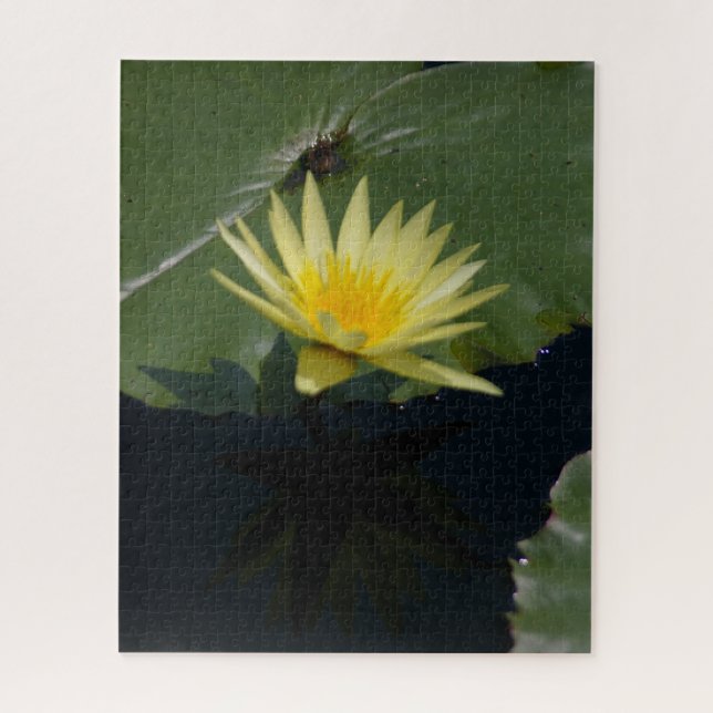 Yellow Waterlily Jigsaw Puzzle (Vertical)