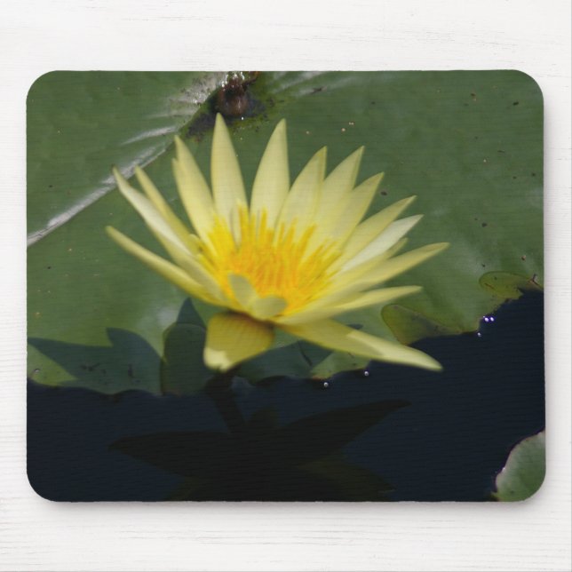 Yellow Waterlily mousepad (Front)