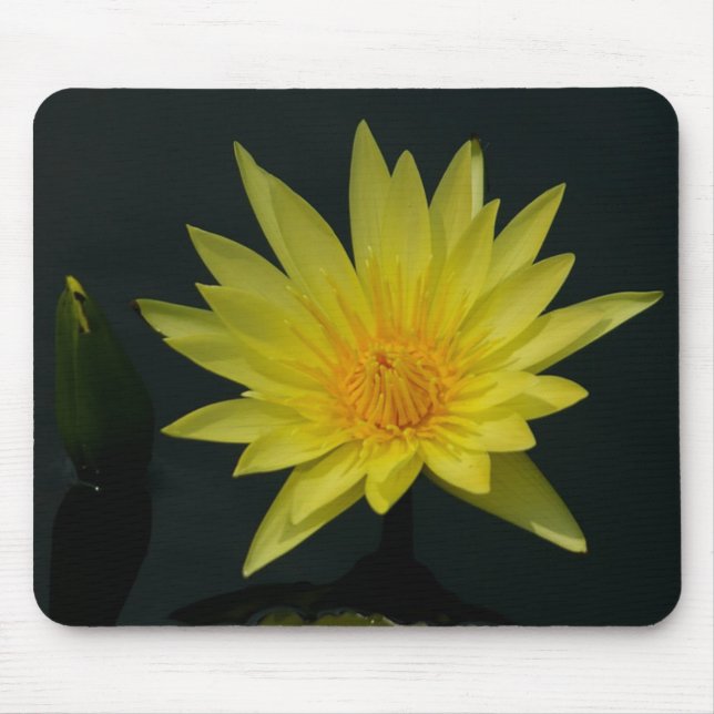 Yellow Waterlily mousepad (Front)