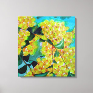 Yellow Wattle art native Australian flower canvas Print