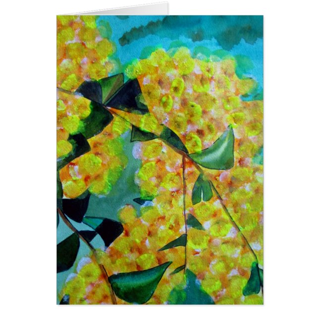 Yellow Wattle native Australian flower art (Front)
