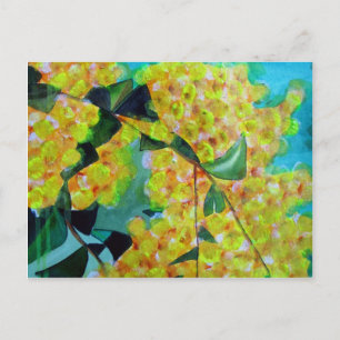 Yellow Wattle native Australian flower art Postcard