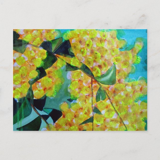 Yellow Wattle native Australian flower art Postcard (Front)