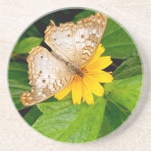 yellow white butterfly moth coaster