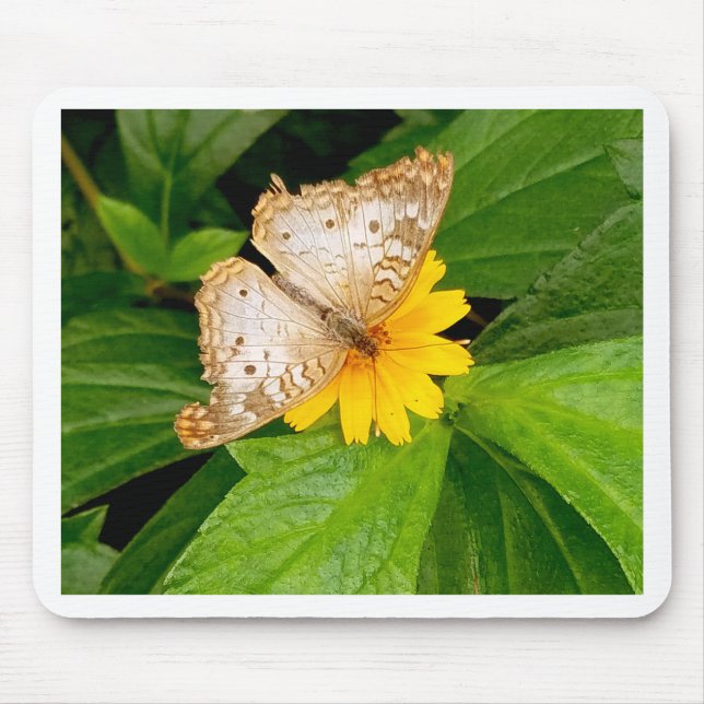 yellow white butterfly moth mouse pad (Front)