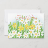 Yellow & White Daffodils