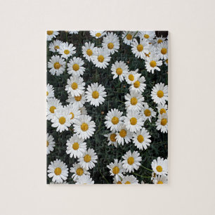 Yellow & white daisies jigsaw puzzle