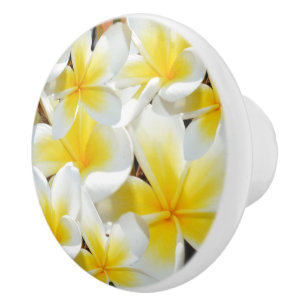 Yellow White Frangipani Bouquet, Ceramic Knob