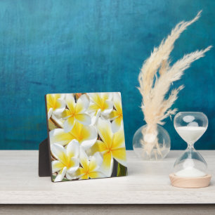 Yellow White Frangipani Bouquet, Plaque
