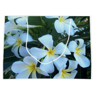 yellow, white, frangipani, flower, nature, summer, large gift bag