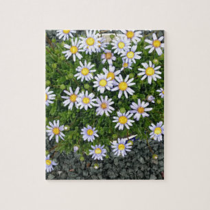 Yellow White Margarita Flowers with Grey Pebbles Jigsaw Puzzle