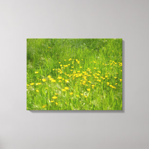 Yellow Wild Flower Floral Botanical Photography Canvas Print