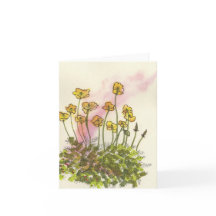 Yellow Wild Poppy Greeting Card