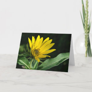 Yellow Wildflower All Occasions  Card