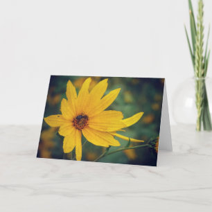 Yellow Wildflower and Bee Card