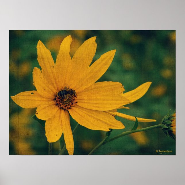Yellow Wildflower and Bee Poster (Front)