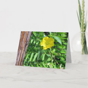 Yellow Wildflower Greeting Card