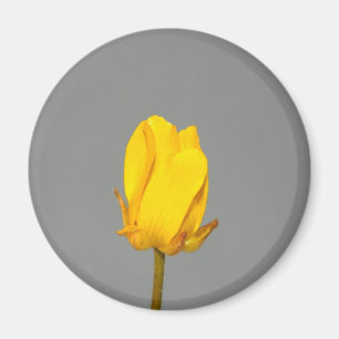 Yellow Wildflower Magnet