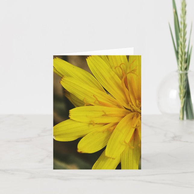 Yellow Wildflower Notecard (2010) (Front)