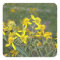 Yellow Wildflower Sticker