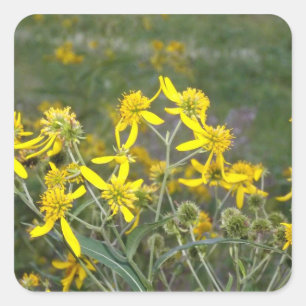 Yellow Wildflower Sticker