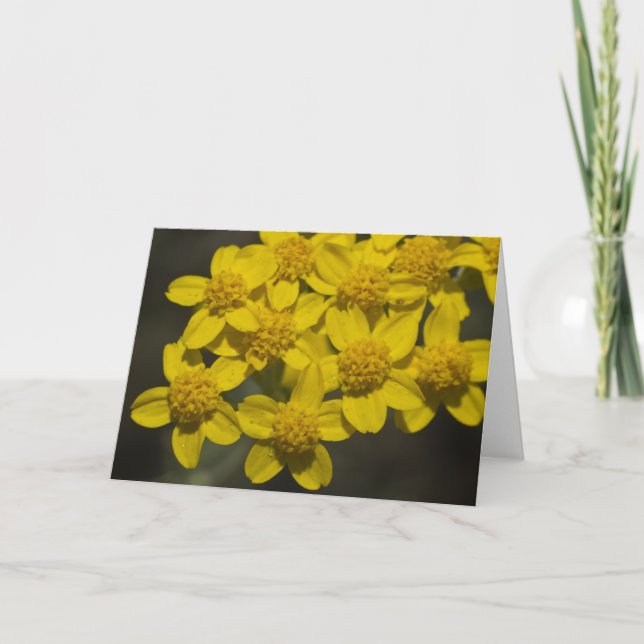 Yellow Wildflowers Card (Front)