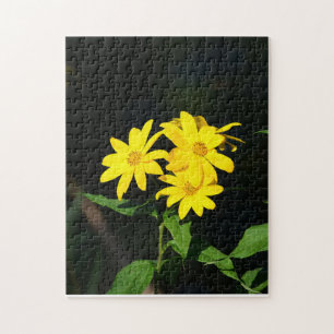 Yellow Wildflowers Jigsaw Puzzle