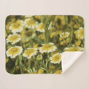 Yellow Wildflowers Sherpa Blanket