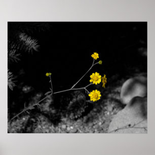 Yellow Wildflowers Under a Tree Coloured 16x20 Poster