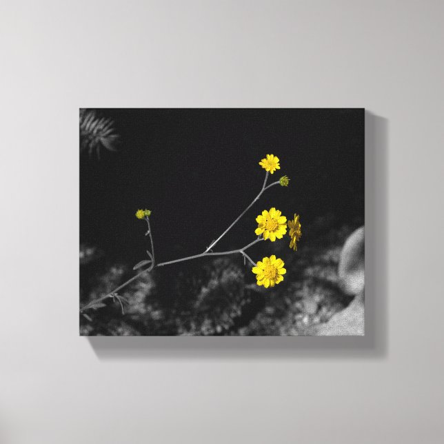 Yellow Wildflowers Under a Tree Coloured 8x10 Canvas Print (Front)