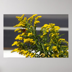 Yellow Wildflowers with Butterfly Poster