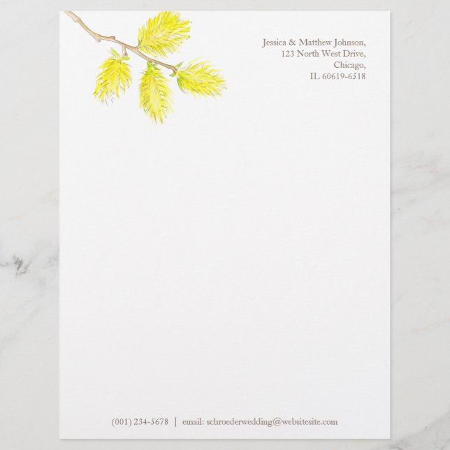 Yellow willow catkins watercolor art letterhead (Front)