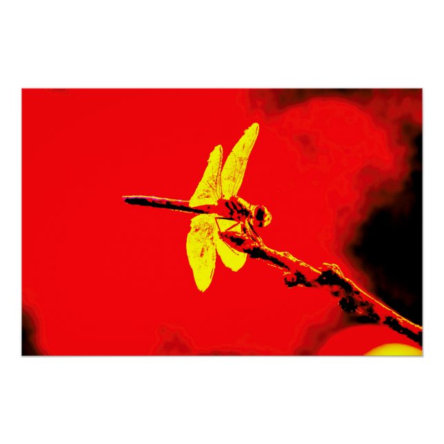 Yellow Wings Poster (Front)