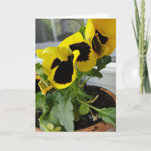 Yellow With Black Pansies Card