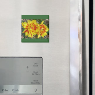Yellow with Red Striped Flower Magnet